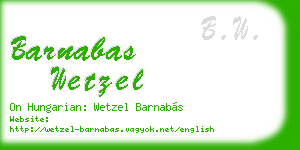 barnabas wetzel business card