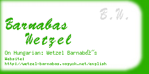 barnabas wetzel business card